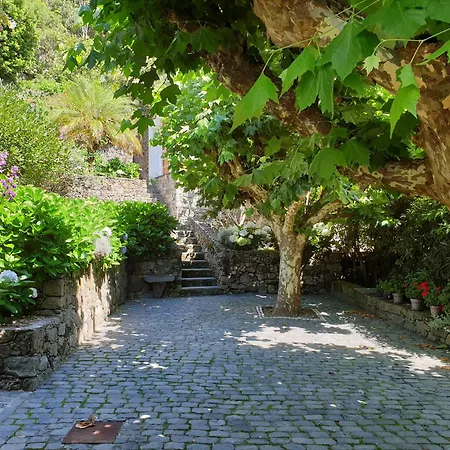 ベッド・アンド・ブレックファスト Quinta Do Mar Água de Pau