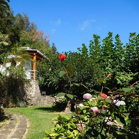 Couette-café Quinta Do Mar Água de Pau