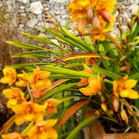 Quinta Do Mar Bed & Breakfast 4*