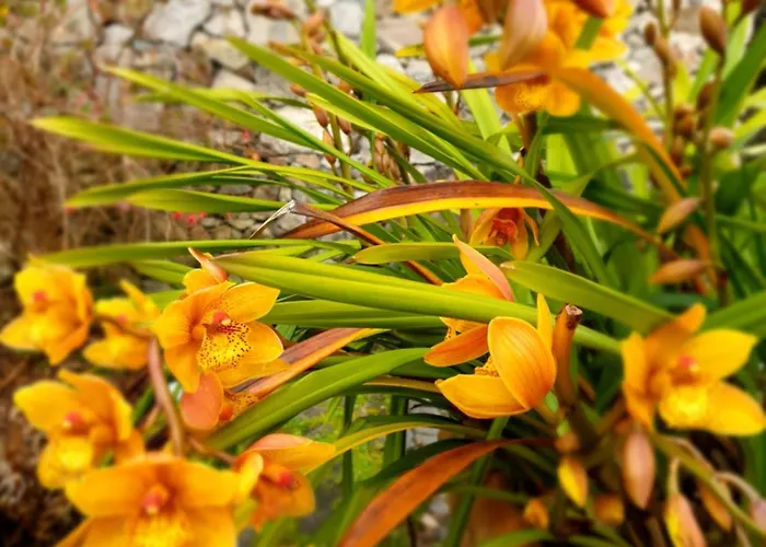 Quinta Do Mar ベッド・アンド・ブレックファスト 4*