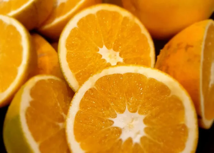 ベッド・アンド・ブレックファスト Quinta Do Mar 4*