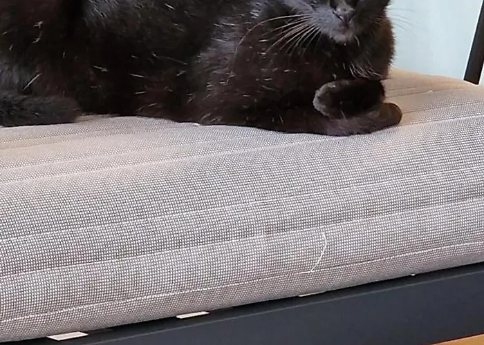 ベッド・アンド・ブレックファスト Quinta Do Mar Água de Pau